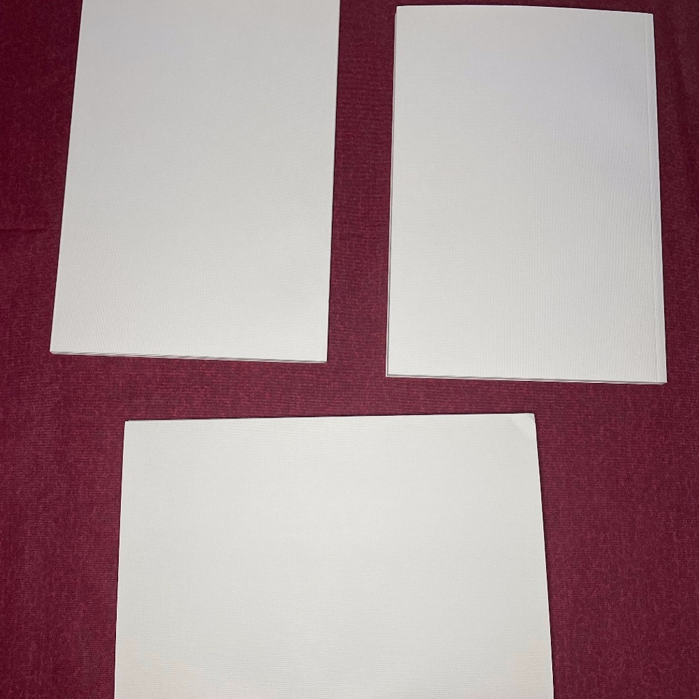 CELINE PARIS white notebooks unlined - Picture 2 of 4